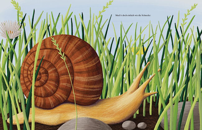 Nahansicht einer Schnecke zwischen Grashalmen und Steinen